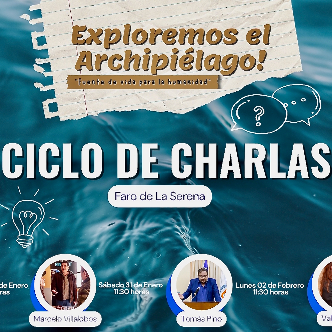 6a_Penguin Awarness Day_quad